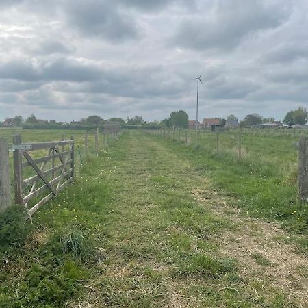 Ivy Cottage Salters Lode Екстериор снимка