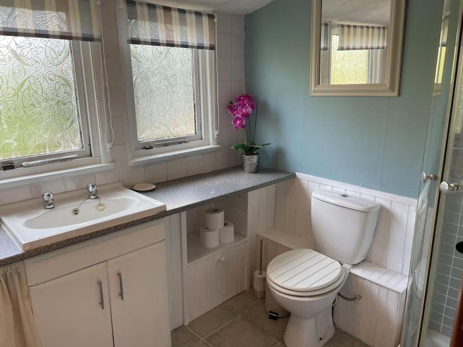 Ivy Cottage Salters Lode Екстериор снимка